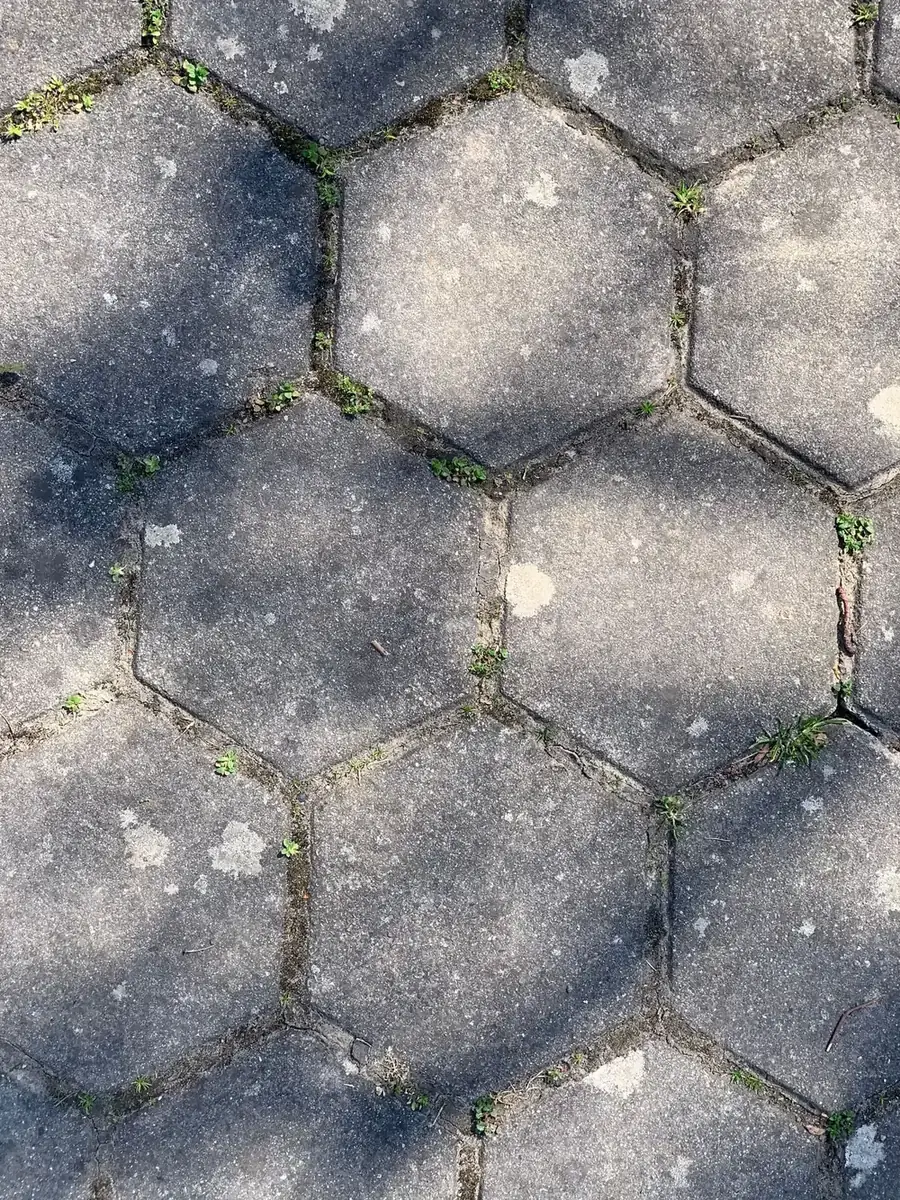 Weathered hexagonal pavers with grime and grass growing in the joints